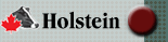 Holstein